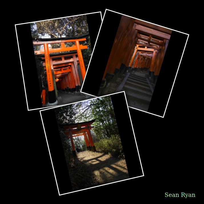 Red Torii - Every Day Photos